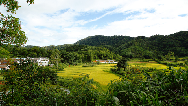 琼中乡村旅游扶贫走出"什寒模式"