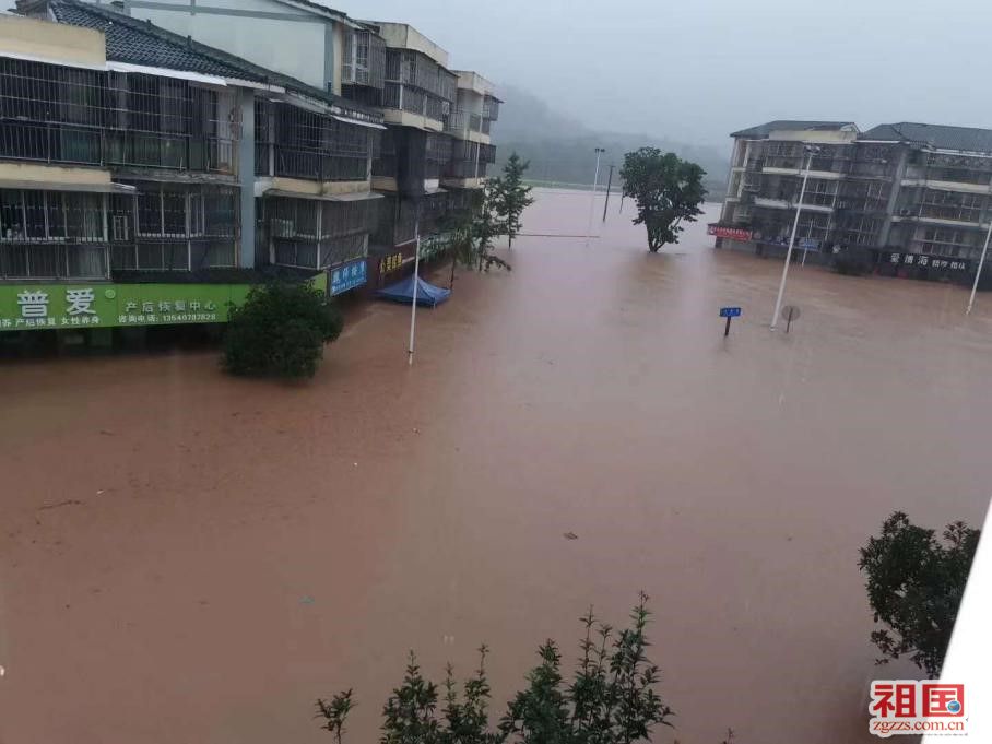 玉林雷氏人口_玉林师范学院